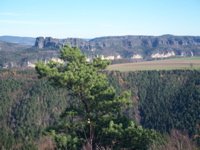 Blick zu den Schrammsteinen Blick zu den Schrammsteinen